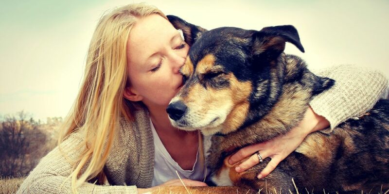 14 Rescuing a Dog – A Complete Guide