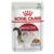 Royal Canin Adult Instinctive Jelly Wet Cat Food Pouches