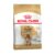 Royal Canin Adult Poodle 8 Plus Dry Dog Food
