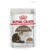 Royal Canin Ageing 12 Plus Jelly Senior Wet Cat Food Pouches