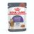 Royal Canin Appetite Control Gravy Adult Wet Cat Food Pouches