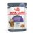 Royal Canin Appetite Control Jelly Adult Wet Cat Food Pouches