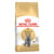 Royal Canin British Shorthair Adult Dry Cat Food 400 Gm