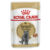 Royal Canin British Shorthair Wet Cat Food Pouches
