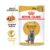 Royal Canin British Shorthair Wet Cat Food Pouches 48 X 85g