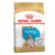 Royal Canin Bulldog Puppy Dry Dog Food 12 Kg