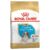 Royal Canin Cavalier King Charles Puppy Dry Dog Food