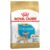 Royal Canin Chihuahua Puppy Dry Dog Food