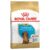 Royal Canin Dachshund Puppy Dry