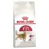 Meals for Meows Grain Free Cat Food Review