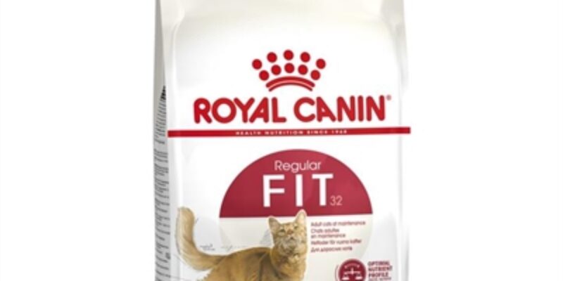 11 Royal Canin Cat Food Review