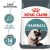 Royal Canin Hairball Care Adult Dry Cat Food 8kg