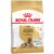 Royal Canin German Shepherd Adult 5 Plus Dry Dog Food