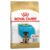 Royal Canin German Shepherd Puppy Dry Dog Food