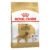 Royal Canin Golden Retriever Adult Dry Dog Food 12 Kg