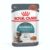 Royal Canin Hairball Care Gravy Wet Cat Food Pouches