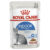 Royal Canin Indoor Adult Gravy Wet Cat Food Pouches