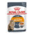Royal Canin Intense Beauty In Jelly Adult Pouches Wet Cat Food 85 Gms 12 Pack