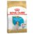 Royal Canin Jack Russell Puppy Dry Dog Food
