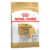 Royal Canin Jack Russell Terrier Adult Dry Dog Food 7.5 Kg