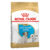 Royal Canin Jack Russell Terrier Puppy Dry Dog Food 1.5 Kg