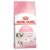 Royal Canin Kitten Dry Food