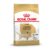 Royal Canin Labrador Adult Dry