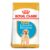 Royal Canin Labrador Retriever Puppy Dry Dog Food