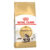 Royal Canin Maine Coon Adult Dry Cat Food 10 Kg