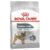 Royal Canin Mini Adult Dental Care Dry Dog Food