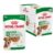 Royal Canin Mini Ageing 8 Plus Senior Wet Dog Food Pouches
