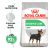 Royal Canin Mini Digestive Care Adult Dry Dog Food 8kg