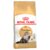 Royal Canin Persian Adult Dry Cat Food