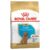Royal Canin Poodle Puppy Dry Dog Food