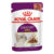 Royal Canin Sensory Smell In Gravy Adult Pouches Wet Cat Food 85 Gms 12 Pack