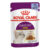 Royal Canin Sensory Smell In Jelly Adult Pouches Wet Cat Food 85 Gms 12 Pack