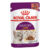 Royal Canin Sensory Taste In Gravy Adult Pouches Wet Cat Food 85 Gms 12 Pack