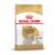 Royal Canin West Highland Terrier Adult Dry Dog Food