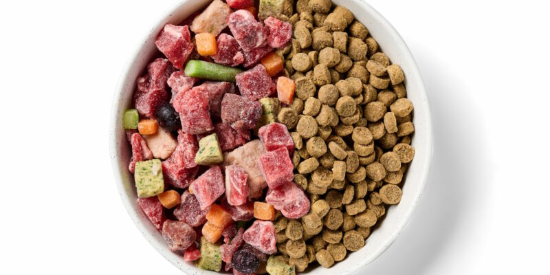 11 Scratch Dog Food Review