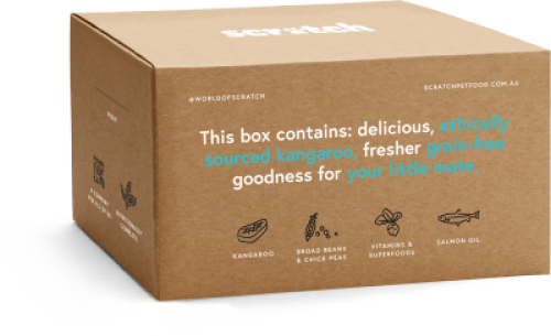 Scratch Dog Food Review