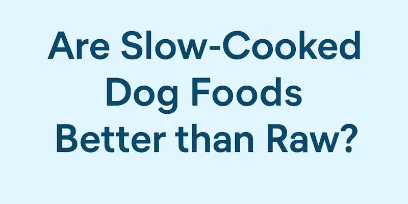 11 Slow-Cooked Dog Foods