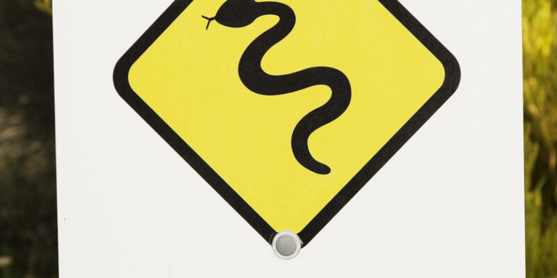 11 Snake bite symptoms in dogs