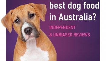 What is the Best Dog Food in Australia? (2021) | Pet Food Reviews