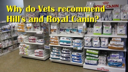 10 Why do vets recommend Hill’s Science Diet / Prescription Diet?