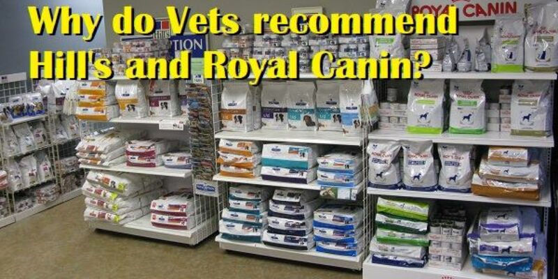 12 Why do vets recommend Hill’s Science Diet / Prescription Diet?