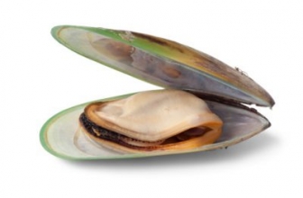 Green Lipped Mussels for Dogs & Cats