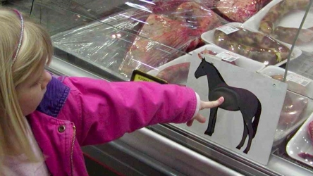 10 21 Dead Dogs (61 Poisoned) in Victoria from Contaminated Meat