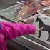 Taste of the Wild PREY Cat Food Review