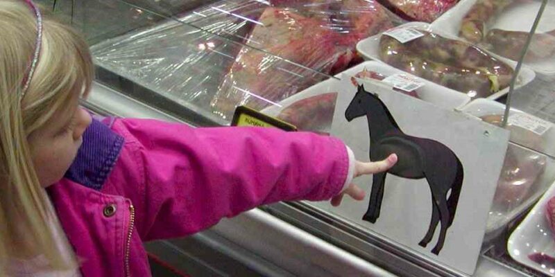 13 21 Dead Dogs (61 Poisoned) in Victoria from Contaminated Meat