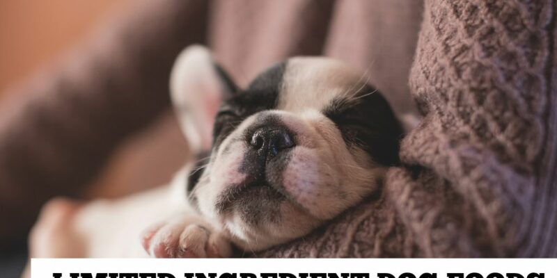 13 Limited ingredient dog foods